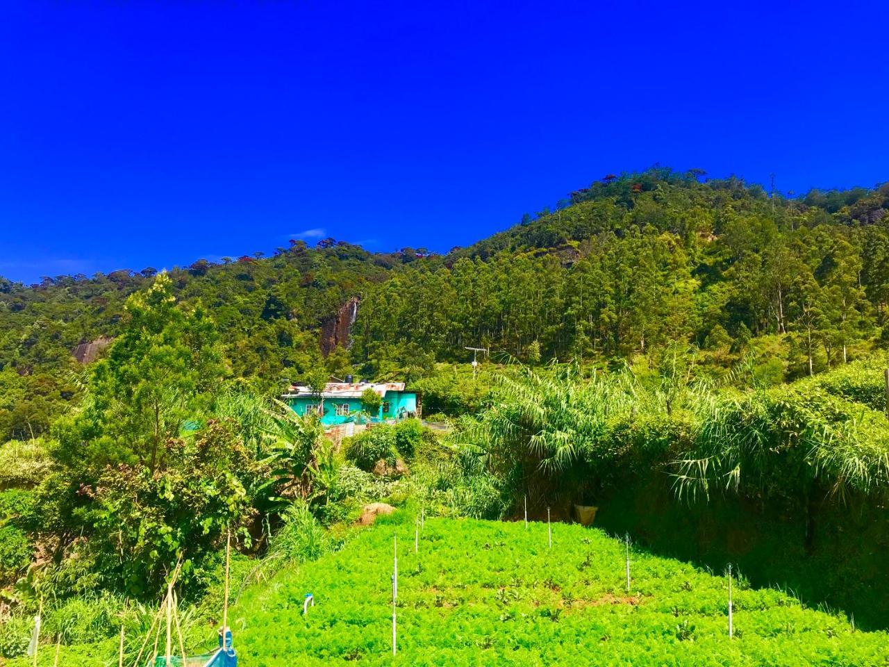 Loversleap bungalow Nuwara Eliya Bagian luar foto